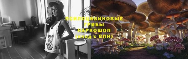 PSILOCYBIN Арсеньев