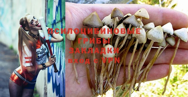 PSILOCYBIN Арсеньев