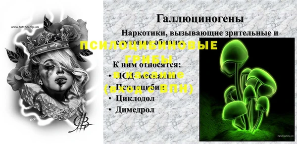 PSILOCYBIN Арсеньев