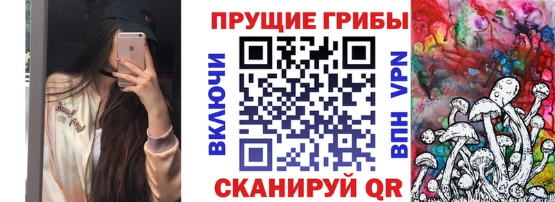 Галлюциногенные грибы Cubensis купить наркоту Заполярный